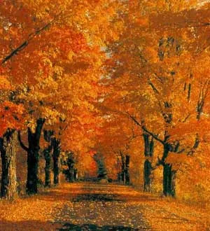 A passeggio nel parco